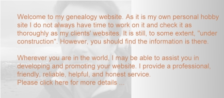 professional website services